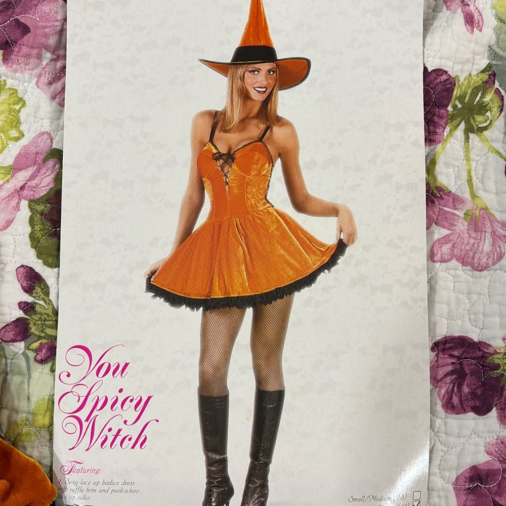 Sexy Velvet Witch Halloween Costume